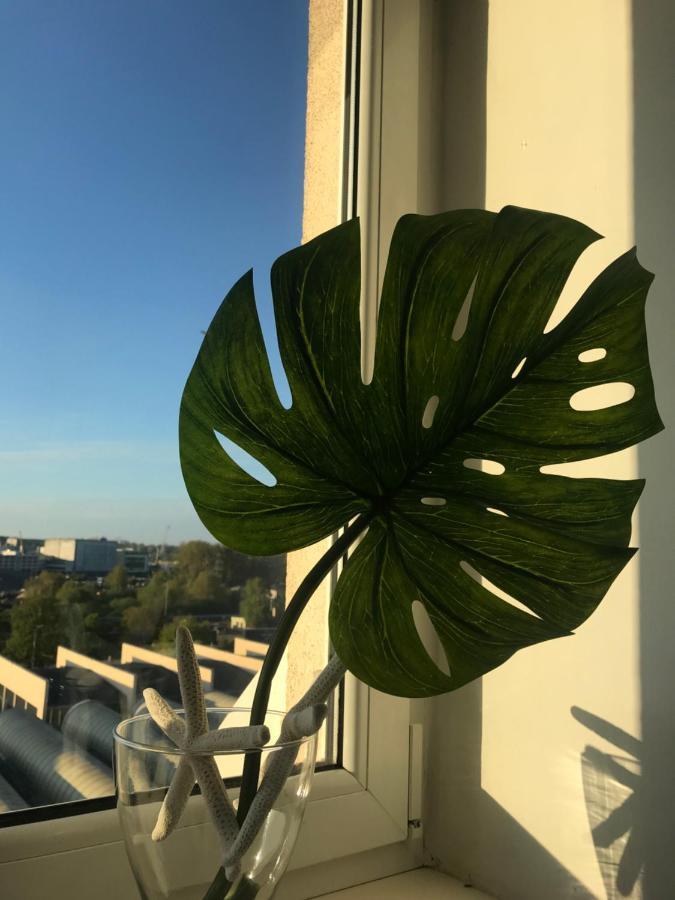 Good Morning Gdynia Διαμέρισμα Εξωτερικό φωτογραφία